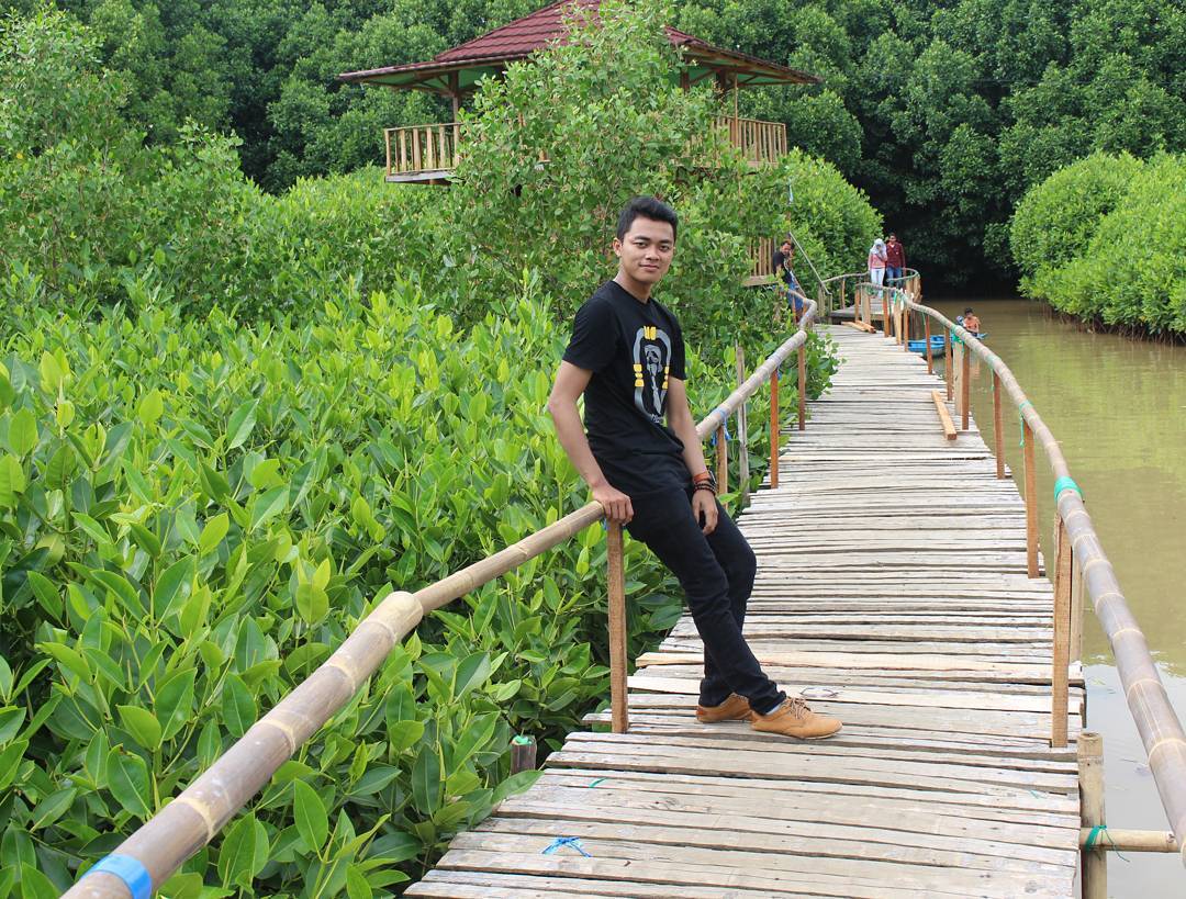 hutan mangrove pantai logending