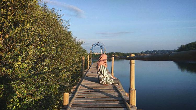 Hutan mangrove pantai congot