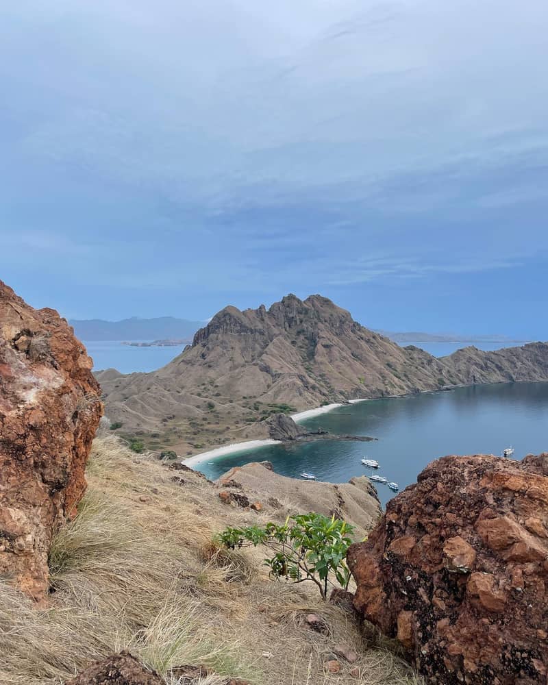 pulau komodo